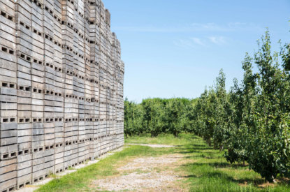 Goedkeuring pachtersvoordeel