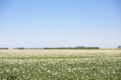 Openstelling borgstellingsregeling jonge landbouwers