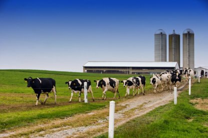 Landbouwgrond afwaarderen ondanks ontvangen subsidie