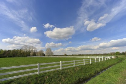 Borgstelling Landbouw – corona