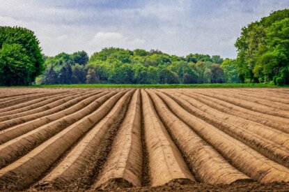 Voorschot basis- en vergroeningsbetaling 2020