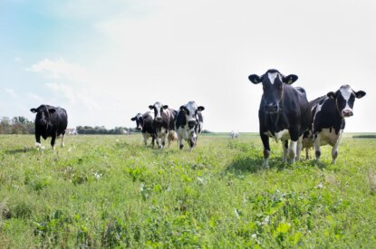 Uitzondering op kartelverbod