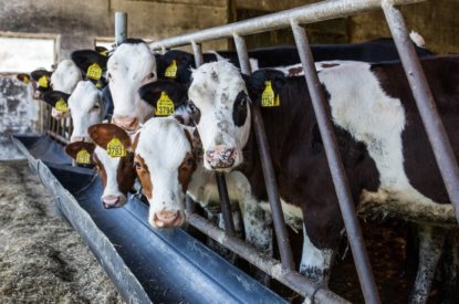 Subsidie om te leren over duurzame landbouw (SABE)