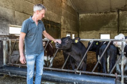 Raad van State: intern salderen kan zonder vergunning