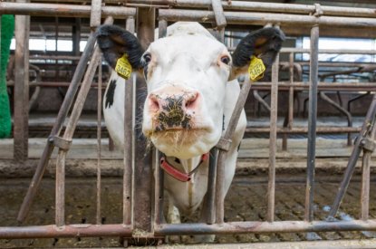 Subsidie voor ontwikkeling stalinnovaties aangepast
