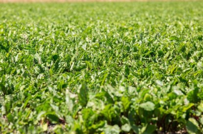 Voorstel om landbouwvrijstelling te schrappen