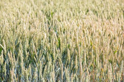 Overzicht subsidies 2021