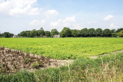 Ontwerp nieuwe regels uitrijperioden mest en gewasrotatie op zand- en lössgrond