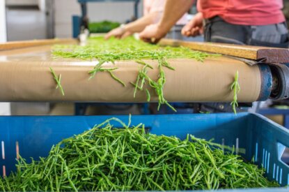 GLB: eco-activiteiten 2026