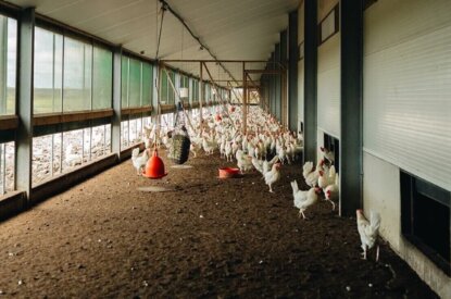 Eco-activiteiten precisiebemesting en -bescherming uiterlijk 15 oktober uitvoeren