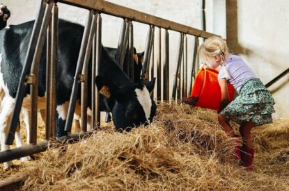Subsidieregeling extensivering melkveehouderij 1 juni open