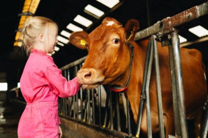 Vrijwillige beëindigingsregeling goedgekeurd door EU